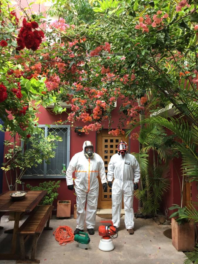 Figuras House Luxury Villa Faro Exterior photo